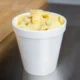 Dart Foam Squat Cup