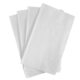 Karat 2 Ply Dinner Napkin White