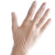 Vinyl Large Vinyl Glove Clear